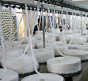 粘胶短纤最新爆料,最新爆料揭示行业新动向